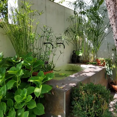 La Casa Del Rio Villa Zamora Exterior photo